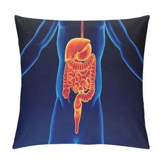 Personality  Human Urinary System Kidneys With Bladder Pillow Covers