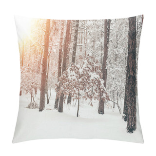 Personality  Scenic View Of Beautiful Snowy Winter Forest With Sunlight Pillow Covers