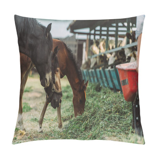Personality  Cropped View Of Farmer Near Horse And Colt Eating Hay Near Cowshed On Farm Pillow Covers