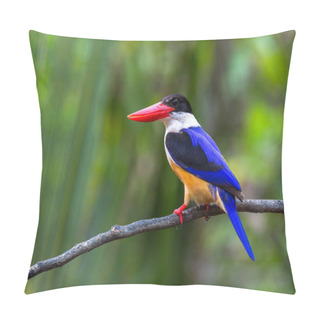 Personality  Black-capped Kingfisher Pillow Covers