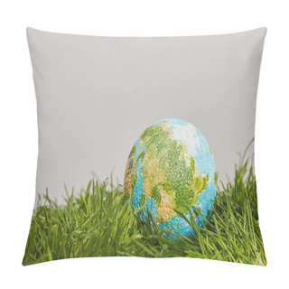Personality  Planet Model Placed On Green Grass Surface, Earth Day Concept Pillow Covers