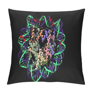 Personality  Human Nucleosome With CpG Methylated (red) DNA Showed, 3D Cartoon Model Isolated, Black Background Pillow Covers