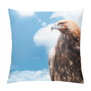 Personality  Eagle On Background Sky Pillow Covers