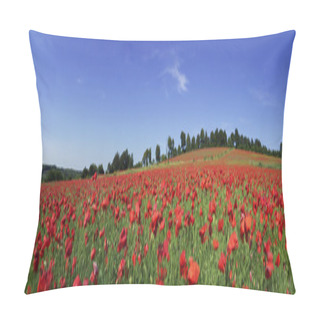 Personality  Field Of Poppies Pillow Covers