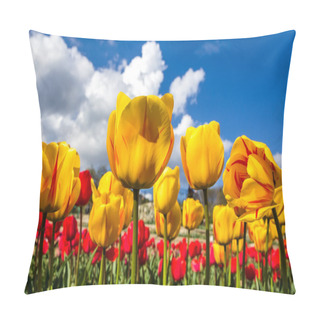 Personality  Field Of Tulips Pillow Covers