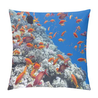 Personality   Coral Reef With Shoal Of Fishes Scalefin Anthias, Underwater Pillow Covers