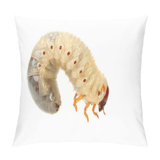 Personality  Cockchafer Pillow Covers