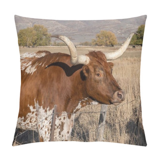 Personality  Longhorn Steers On A Ranch Near Heber Utah Pillow Covers
