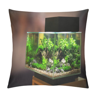 Personality  Pet Shop Aquarium Pillow Covers