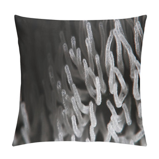Personality  Coral Mushroom On A Tree Pillow Covers