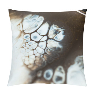 Personality  Epoxy Resin Art. Abstract Composition For Your Design. Macro Photo Pillow Covers