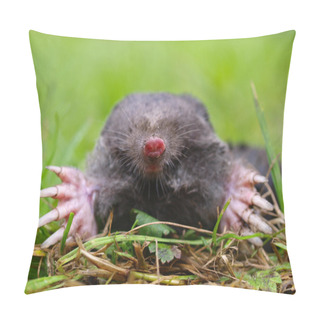 Personality  Mole Head Closeup Pillow Covers