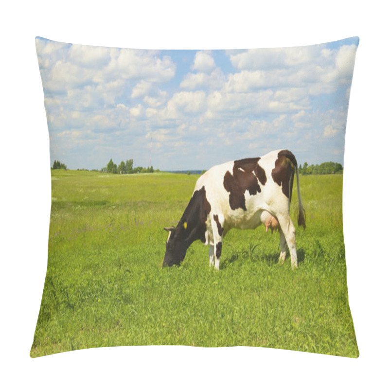 Personality  Cow eats grass pillow covers