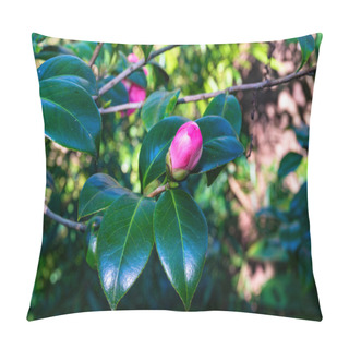 Personality  Pink Camellia Bud With Lush Foliage On The Background Pillow Covers