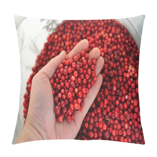 Personality  Close-up Of Red Forest Berries (lingonberry) In A Hand. Abstract Natural Pattern, Texture, Background, Wallpaper. Forest, Eco Tourism, Gardening, Farm Industry Concepts. Healthy, Vegan, Diet Food Pillow Covers