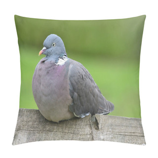 Personality  Common Wood Pigeon (columba Palumbus) Pillow Covers