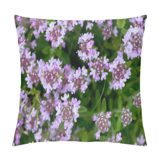 Personality  Closeup Of Wild Thyme - Selective Focus, Copy Space Pillow Covers