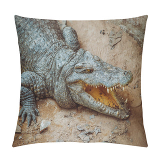 Personality  Danger Aggressive Crocodile  Pillow Covers