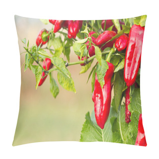 Personality  Red Pepper Pillow Covers