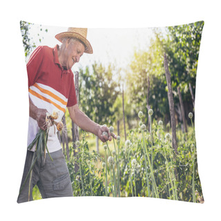 Personality  Gray Haired Old Man Picking Onion Harvest From Vegetable Garden In Village Pillow Covers