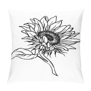 Personality  Sketch Of Sunflower. Hand Drawn Outline. Sunflower Hand Drawn Vector Collection. Black And White Clipart. Hand-drawn Vector Pillow Covers