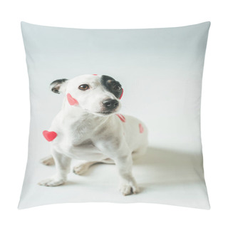 Personality  Jack Russell Terrier Dog In Red Hearts For Valentines Day, On White Pillow Covers