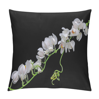 Personality  Mexican Creeper (Antigonon Leptopus), White Mexican Creeper Flowers Isolated On Black Background Pillow Covers