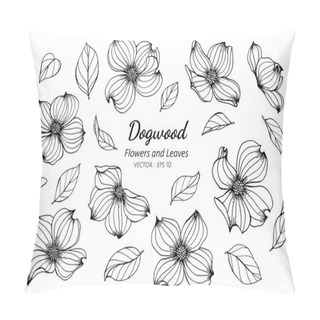 Personality  Collection Set Of Dogwood Flower And Leaves Drawing Illustration Pillow Covers