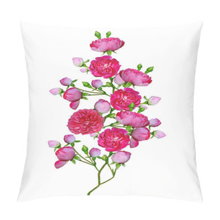 Personality  Dog Rose (Rosa Canina) Flowers On A White Background Pillow Covers