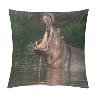 Personality  Hippo With Open Mouth Pillow Covers