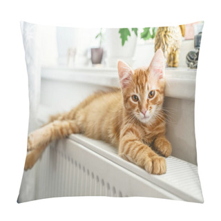 Personality  Cute Little Ginger Kitten With Amber Eyes Relaxing On The Warm Radiator Closeup Pillow Covers