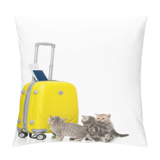 Personality  Three Adorable Kittens Near Yellow Suitcase With Passport And Ticket Isolated On White Pillow Covers