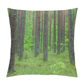Personality  Green Dense Forest Pillow Covers