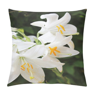 Personality  White Lily Flower Pillow Covers
