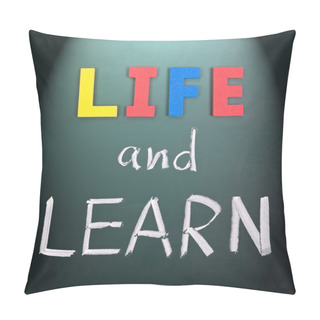 Personality  Life And Learn Pillow Covers