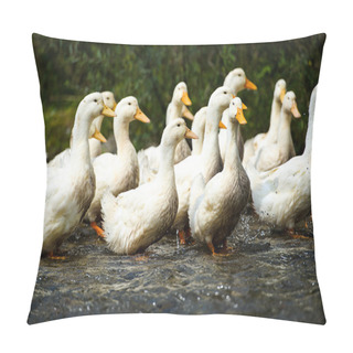 Personality  White Ducks On Water Pillow Covers
