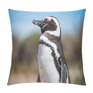 Personality  Beautiful Isolated Penguin Dwelling Free In A Natural National Park In North Patagonia Near The City Of Puerto Madryn In Argentina. Unesco World Heritage As Natural Reserve Park In A Summer Day. Pillow Covers