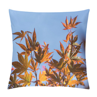 Personality  Autumn Leaves On Maple Tree Branches With Blue Sky At Background Pillow Covers