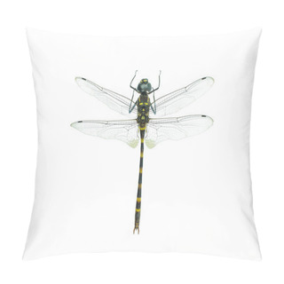 Personality  Black Dragonfly Isolated On A White Background Pillow Covers