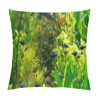Personality  Small Fishes Swimming Under Water Among Green Seaweed In Aquarium, Panoramic Shot Pillow Covers