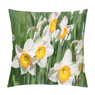 Personality  Narcissus Pillow Covers