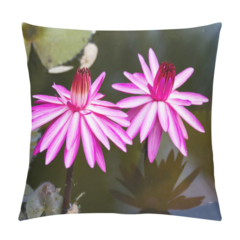 Personality  Closeup of two red water lilies in lagoon pillow covers