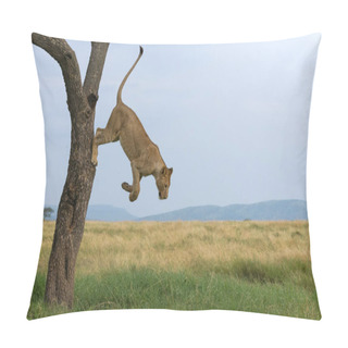 Personality  Wild Lions In Africa Pillow Covers