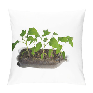 Personality  Life After Life Pillow Covers