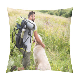 Personality  Male Tourist With Backpack And Dog Sitting On Summer Meadow Pillow Covers