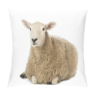 Personality  Sheep Lying Against White Background Pillow Covers