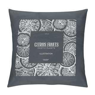 Personality  Ink Hand Drawn Citrus Pillow Covers