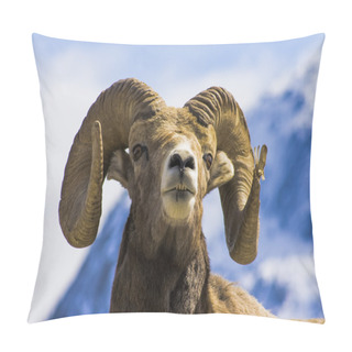 Personality  Big Wild  Ram Pillow Covers