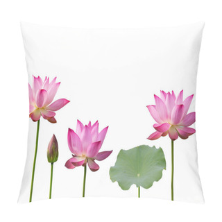 Personality  Pink Lotus And Leaf Isolated On White Background.  Pillow Covers