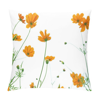 Personality  Orange Daisy On White Background Pillow Covers